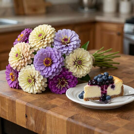 Blueberry Cheesecake, Zinnia Seeds